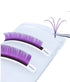 0.07MM PURPLE COLOR VOLUME EYELASH EXTENSIONS - Wendylash